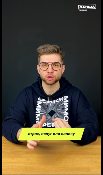 «Фейки мимо».
